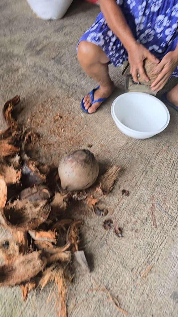 VideoCapture_20250410-180558